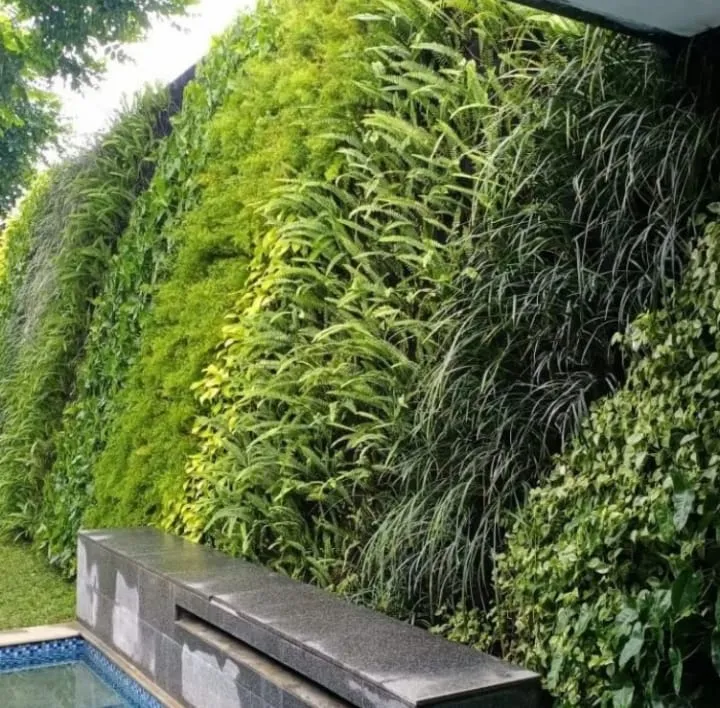 tanaman vertical garden